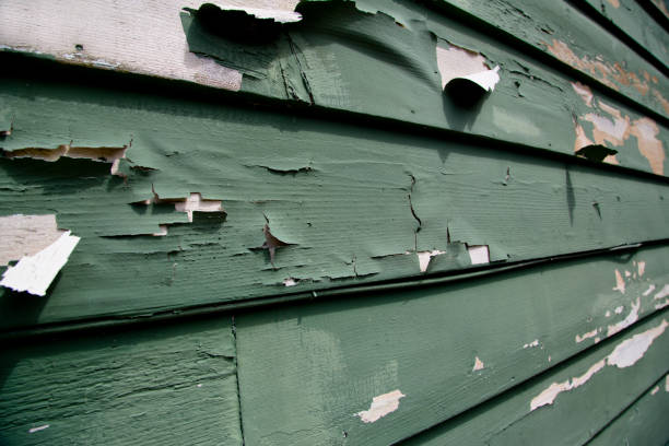 Affordable siding repair and maintenance services in Irmo, SC