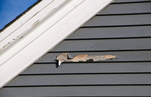 Trusted Irmo, SC Siding Installation & Repair Experts